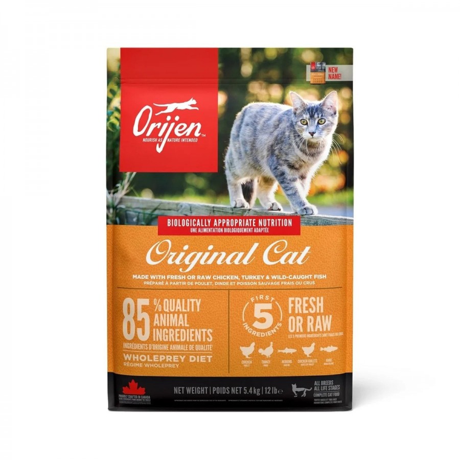 Philadelphia Blijkbaar bloemblad Orijen Cat & Kitten | Cool4pets - natuurwinkel voor hond & kat
