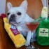 Zippy Paws Happy Hour Crusherz Tequila